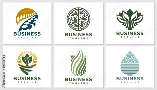 Set of luxury nature plant leaf logo design template