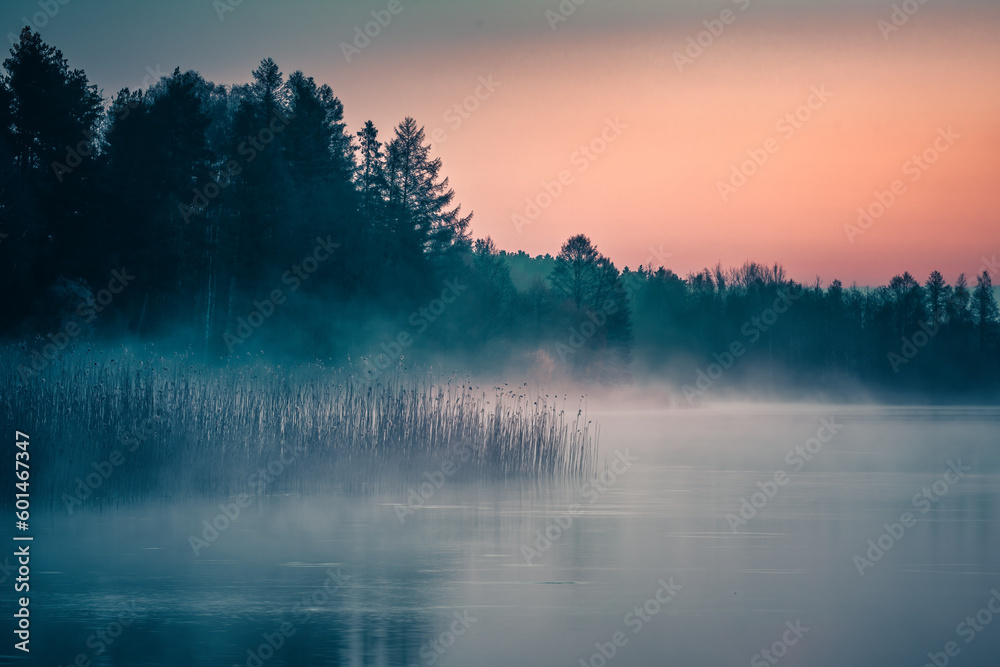 Fototapeta premium The fairy-tale mystery of the blue hour. Lake Gowidlińskie, Kaszuby, Poland