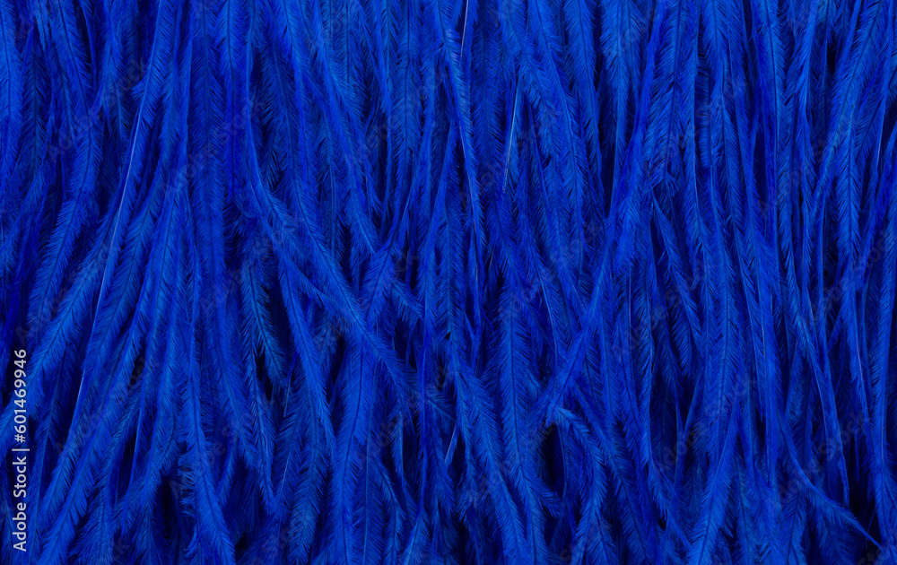 Background of small blue feathers