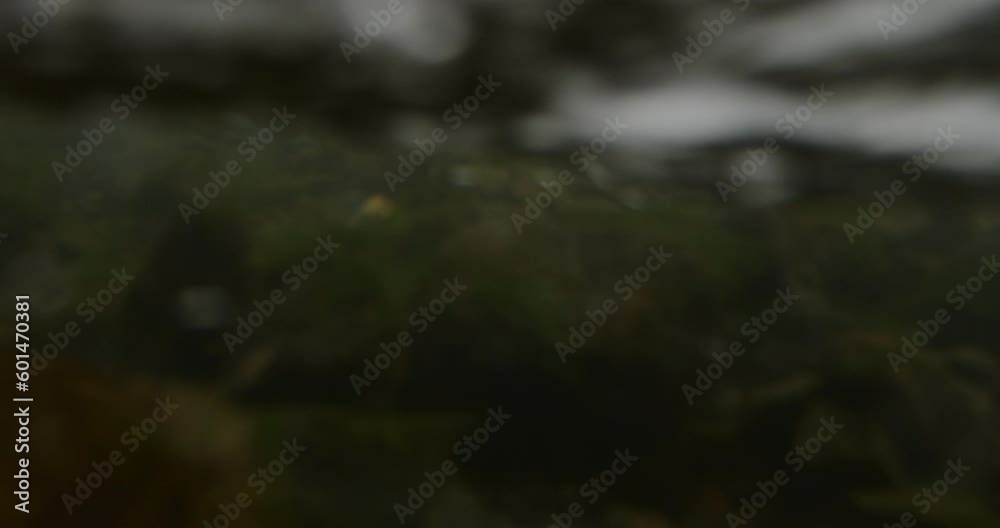 Captivating Close-Up: Slow-Motion Flow of River Current Through beautiful and Stunning Rocks Captivating Close-Up: Slow-Motion Flow of River Current Through beautiful and Stunning Rocks