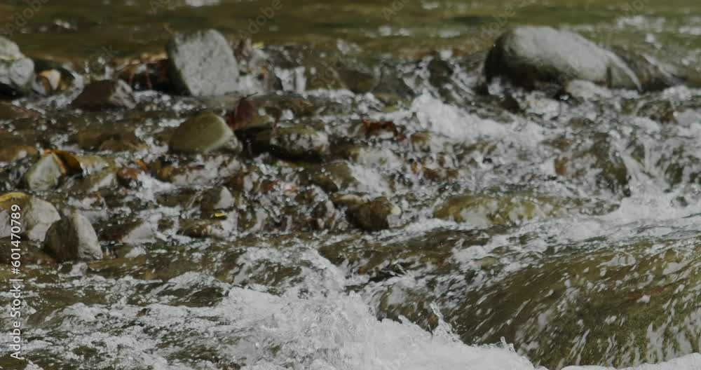 Captivating Close-Up: Slow-Motion Flow of River Current Through beautiful and Stunning Rocks Captivating Close-Up: Slow-Motion Flow of River Current Through beautiful and Stunning Rocks