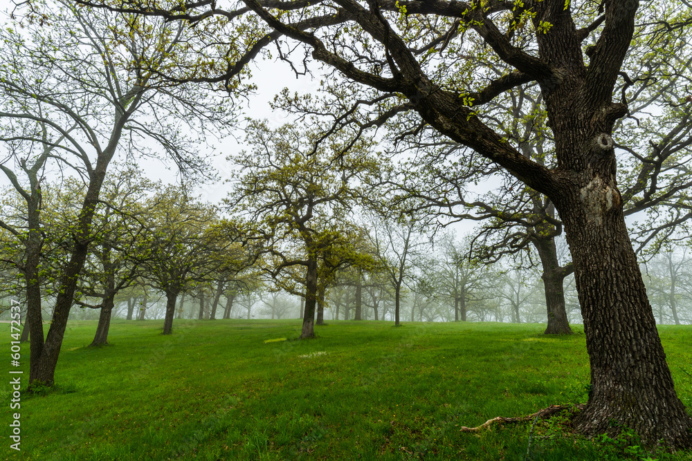 Foggy Dale Maffitt Lake Reservoir in West Des Moines Iowa Foggy Dale Maffitt Lake Reservoir in West Des Moines Iowa