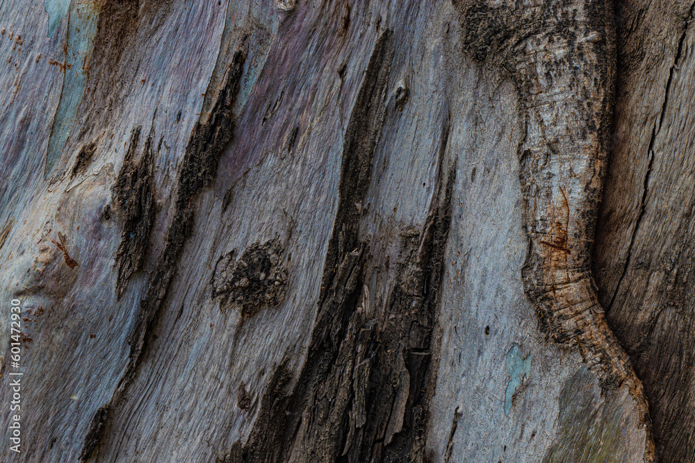 old wood texture close up old wood texture close up