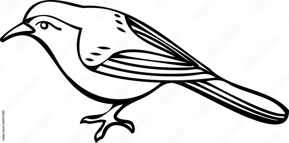 Obraz premium Bird line art illustration with black thin line. PNG with transparent background.