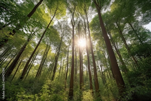 Low angle view of trees in the forest with sunlight coming through them. Sustainability concept. AI Generated © PapatoniC