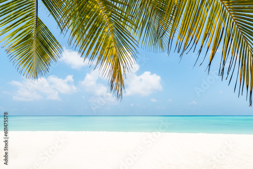 Tropical beach with palm tree © eyetronic
