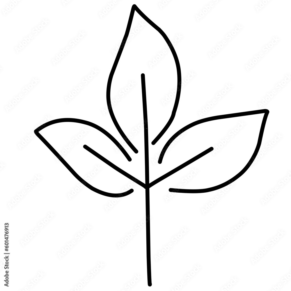 Fototapeta premium Black Line Leaf Icons
