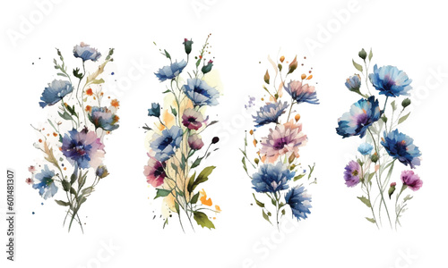 Set watercolor wild flowers, leaves and grass. Collection botanic garden elements. Vector isolated illustration in vintage style