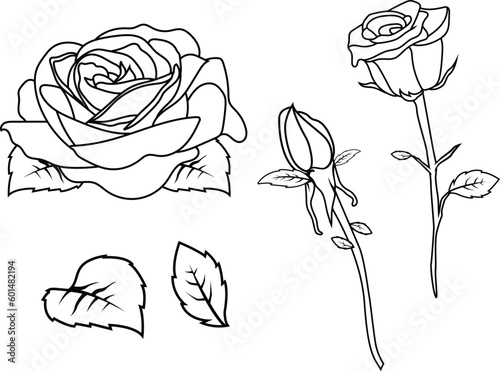 Set of rose and bud with stem and leaves drawn in stroke line art. Can be used in invitation cards or greeting or any kind of celebration post. multiple items combined to make beautiful art