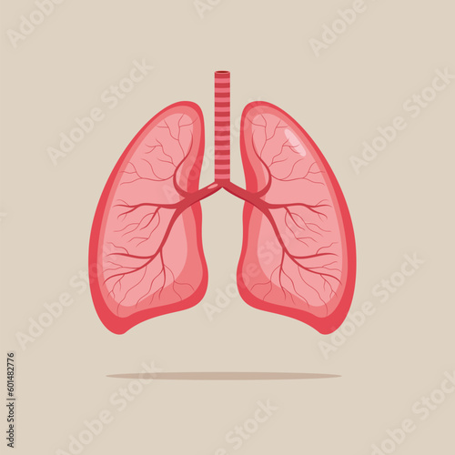 Human lungs, respiratory system. Anatomy, medicine concept. Healthcare. Vector illustration. 