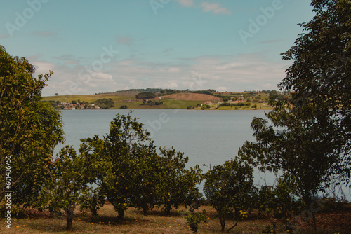 view of the plantation in front of the lake