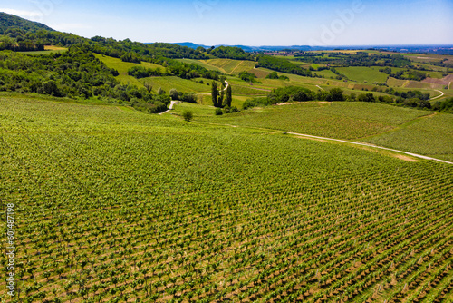 Vineyards on hills  Jura region France.