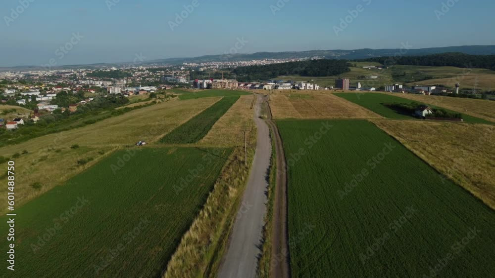 Filming from a drone over a green field sown with alfalfa. A car is speeding on the dusty road that passes by the sown land.