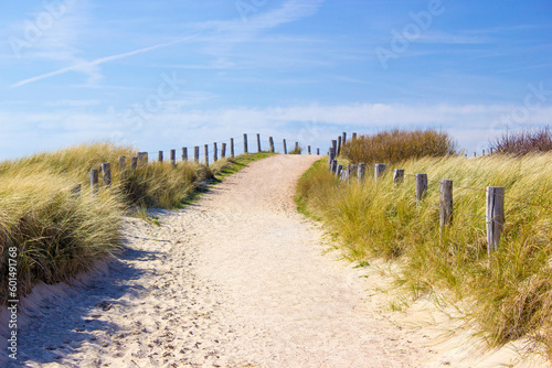 Path trough the dunes, Zoutelande, the Netherlands photo