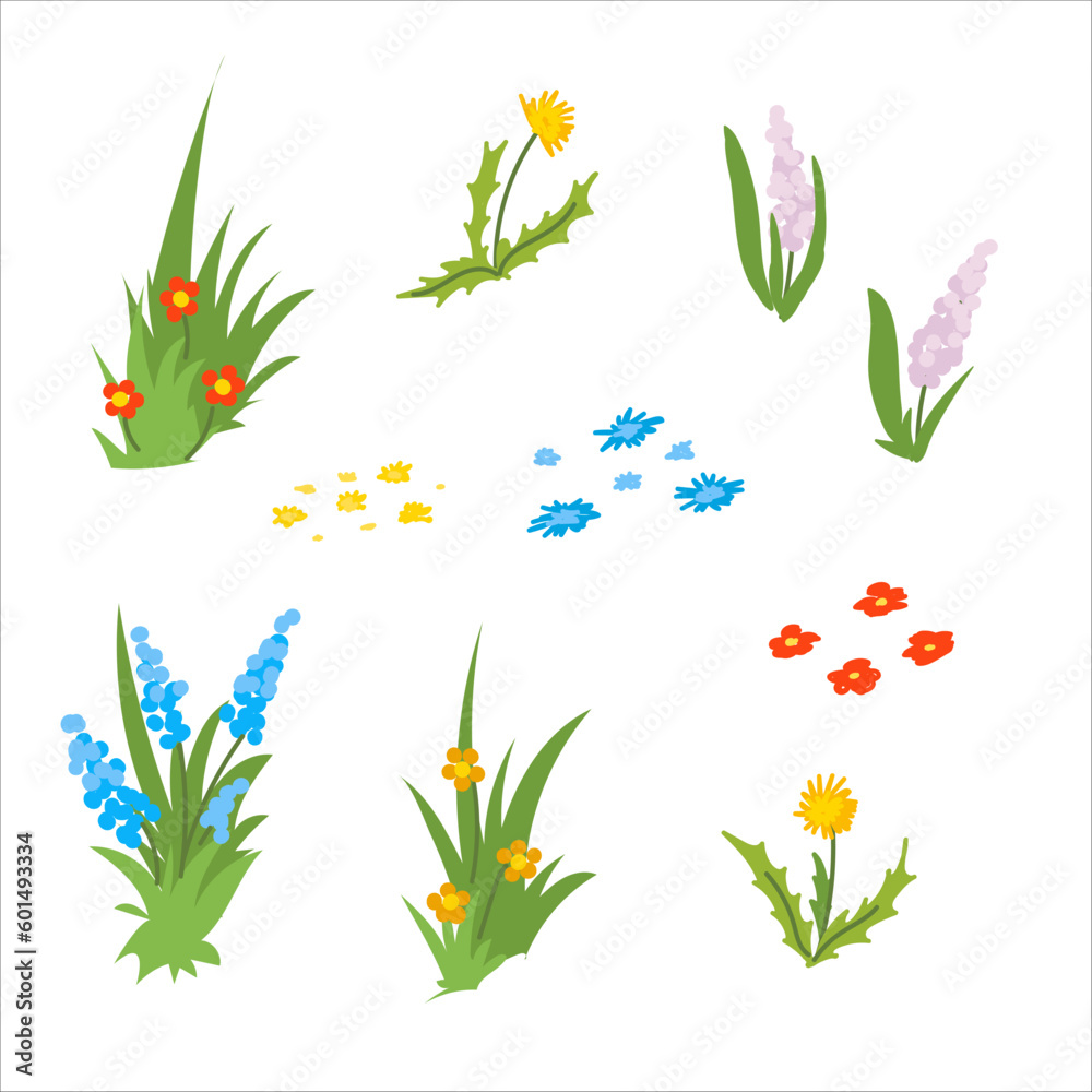 Green plants and grass on the lawn. Wildflowers. Decorative elements. A plant for the garden. Forest. Vector illustration isolated on white background.