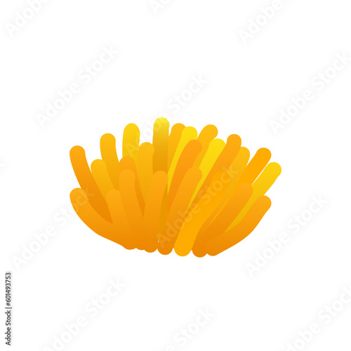 Seaweeds. Underwater plant isolated on white background. Coral reef element.