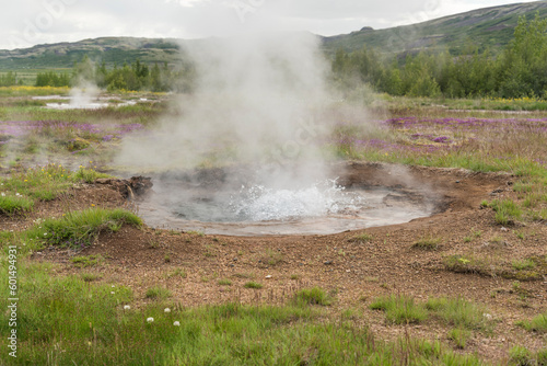 Small Geysir in the geothermal valley in South Iceland on the popular Golden Circle route. Ho water jumping out of a hot s geothermal activity, hot, spring, boiling, water, Iceland, steam, summer, day