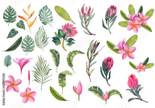 Wallpaper Mural Set of tropical plants and flowers. Botanical watercolor green exotic leaves. Coconut palm, monstera, banana tree, plumeria, protea, leucadendron for cards, invitations, wedding and summer designs Torontodigital.ca
