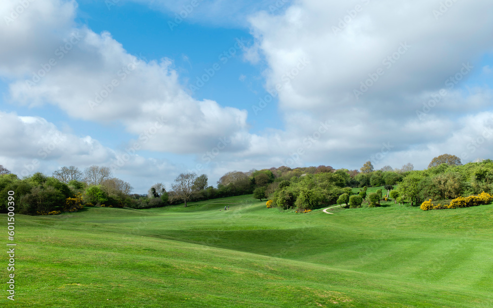 Fototapeta premium Westwood public parkland shared by golfers flanked by trees. Beverley, UK.