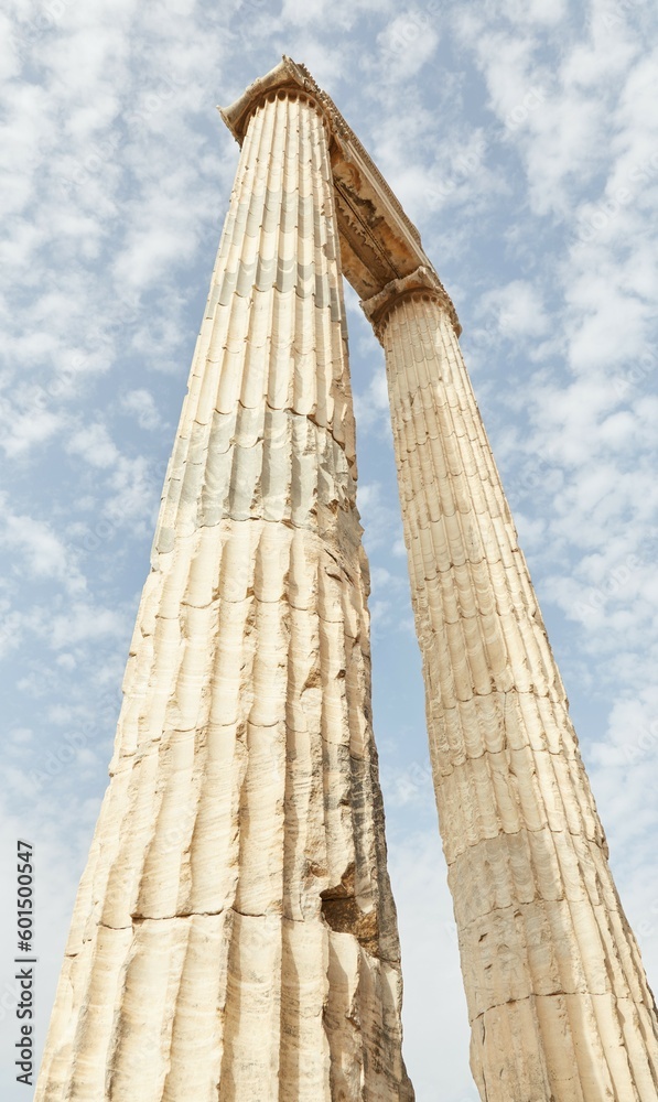 Temple of Apollo at Didyma in Aydun Province, Turkey