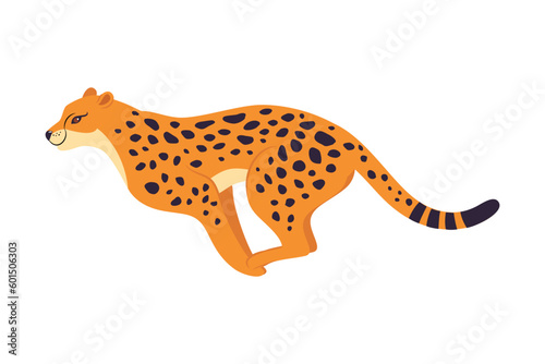 Running Leopard as Wild Cat with Long Spotted Body Vector Illustration