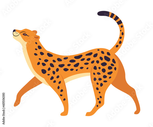 Walking Leopard as Wild Cat with Long Spotted Body Vector Illustration