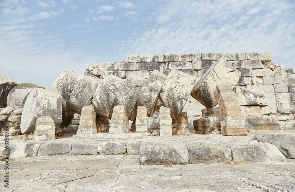 Temple of Apollo at Didyma in Aydun Province, Turkey