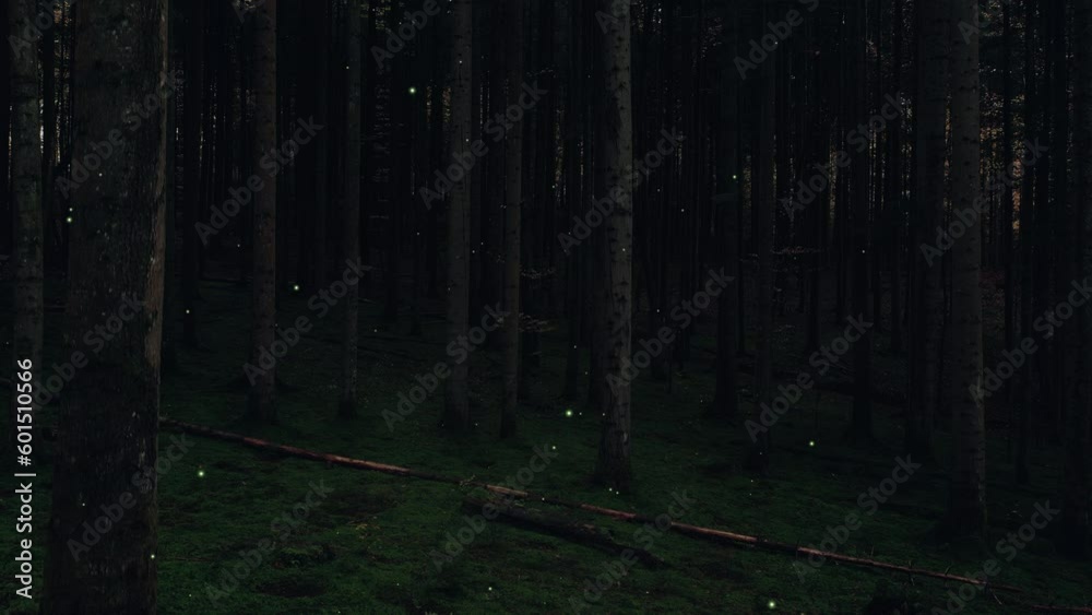 Dark night forest with fireflies animation.