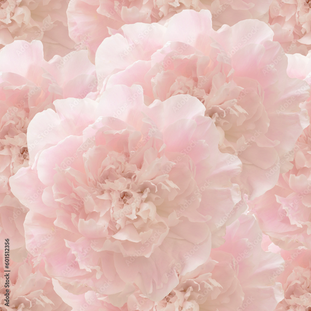 Floral seamless pattern with peony flowers. Pink background.