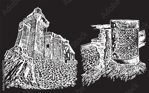 Graphical Liechtenstein castle and Koporye fortress isolated on black,vector illustration, architecture of Germany and Russia