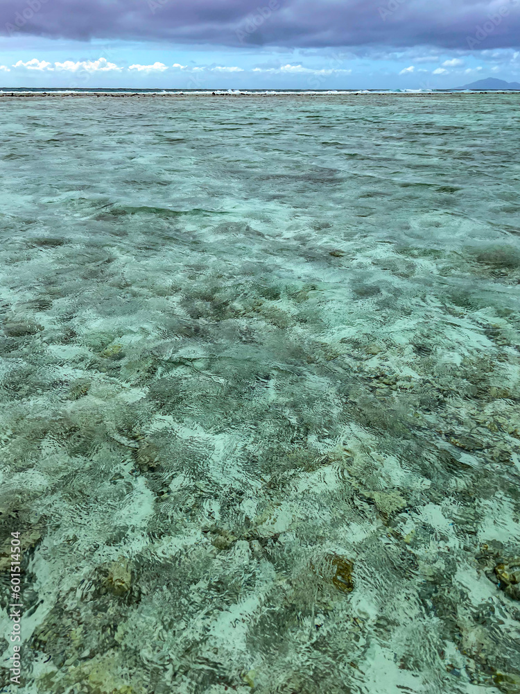 Fototapeta premium Clear sea surface with stony underwater 