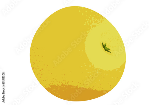 Grapefruit illustration isolated on a transparent background
