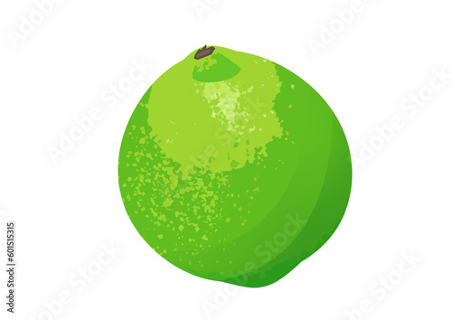 Lime illustration isolated on a transparent background