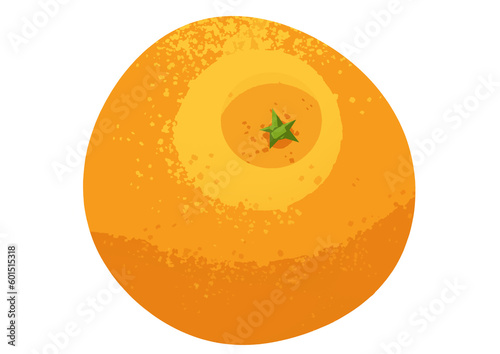 Orange illustration isolated on a transparent background