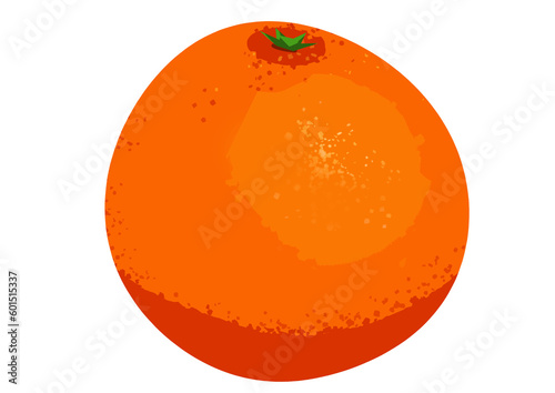 Blood orange illustration isolated on a transparent background
