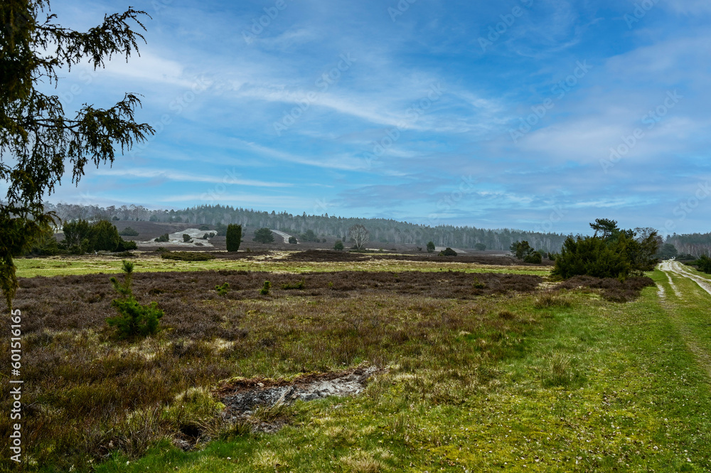 Panoramaussicht mit Weitblick vom Wilseder Berg über die Heidelandschaft bei Wilsede, Lüneburg, Niedersachsen, Deutschland bei blauem Himmel Panoramaussicht mit Weitblick vom Wilseder Berg über die Heidelandschaft bei Wilsede, Lüneburg, Niedersachsen, Deutschland bei blauem Himmel