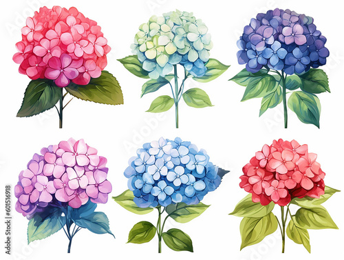 illustrazione di set di ortensie in stile acquerello scontornabile, su sfondo bianco creata con intelligenza artificiale