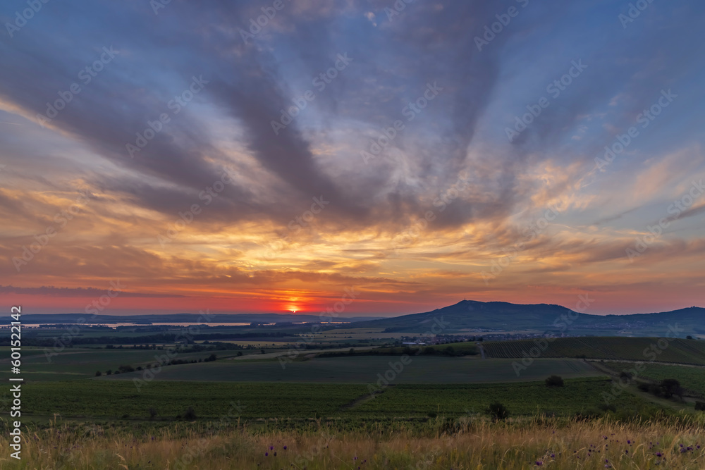 Sunrise in vineyards under Palava, Southern Moravia, Czech Republic