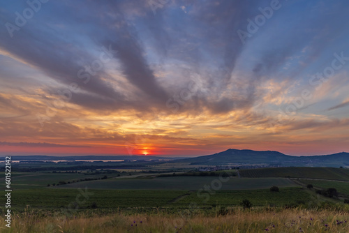 Sunrise in vineyards under Palava, Southern Moravia, Czech Republic