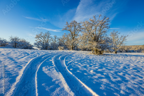 Landscape near Hnanice, NP Podyji, Southern Moravia, Czech Republic photo