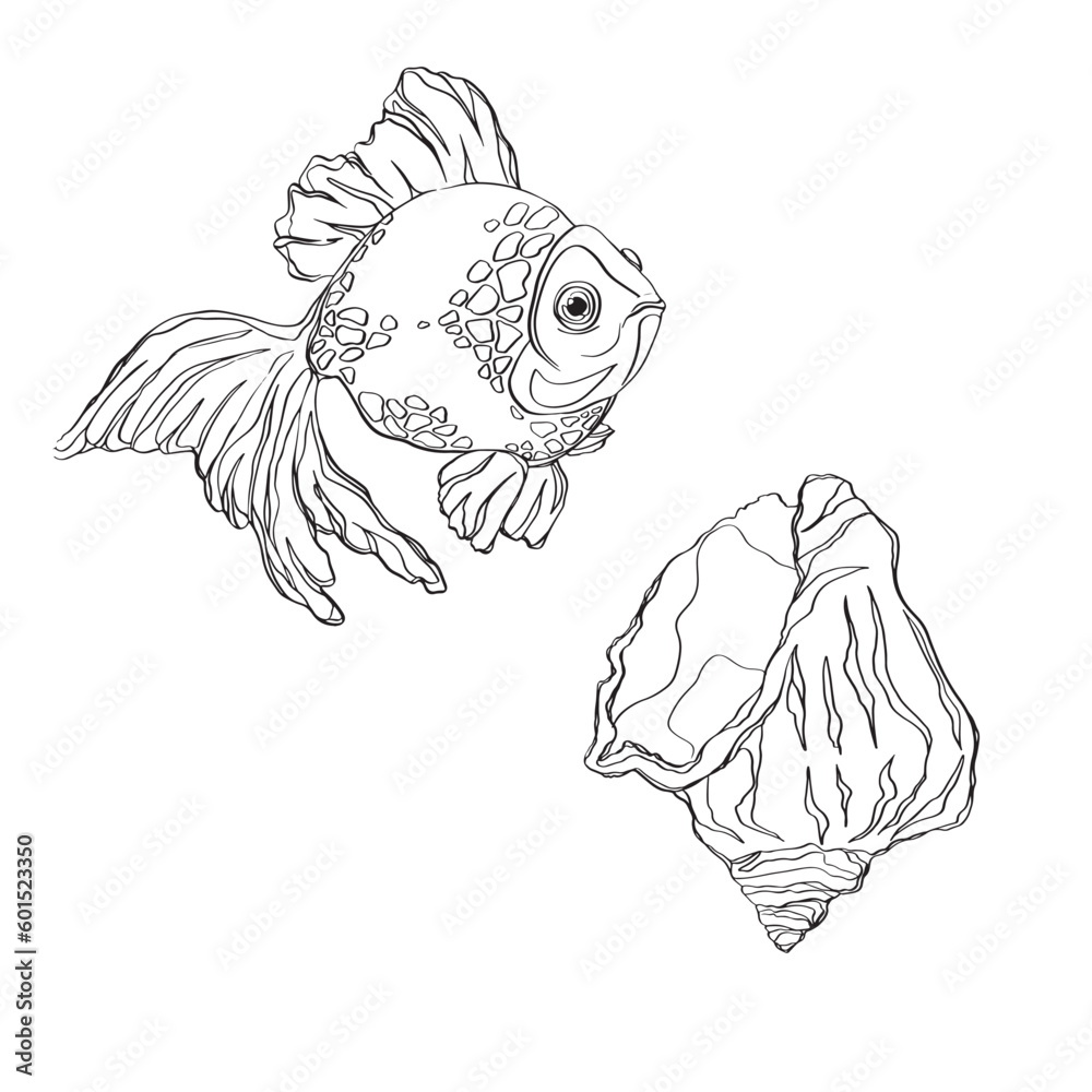 Hand drawn doodle fish, shell. Vector illustration. Hand drawn fish