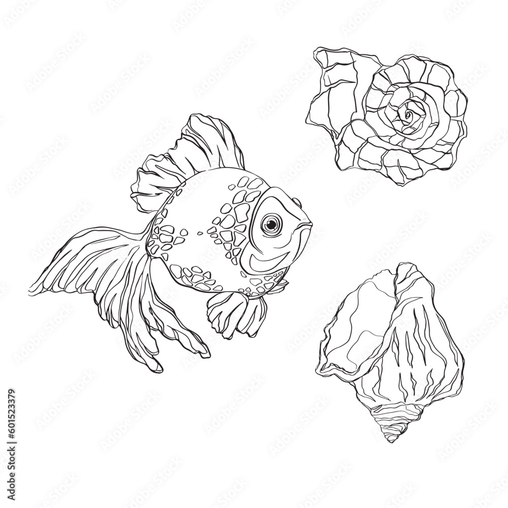 Fototapeta premium Hand drawn doodle fish, shell. Vector illustration. Hand drawn fish. Vector illustration. Sea collection. Vector of fish design on a white background. Easy editable layered vector illustration