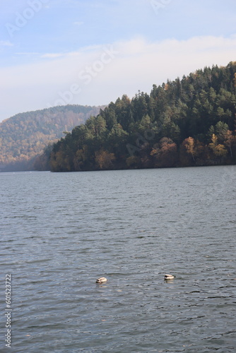 embankment of a beautiful lake with mixed forest on the other side of the water photo