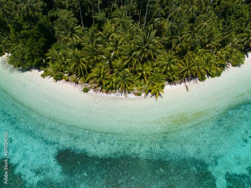 Palm trees grow along a scenic beach off the coast of West Papua, Indonesia. This remote part of Indonesia is known for its incredibly high marine biodiversity. © ead72