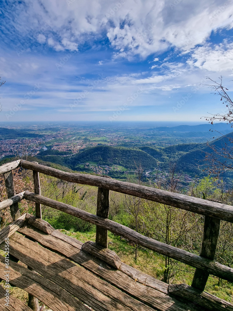 wooden bridge in the mountains