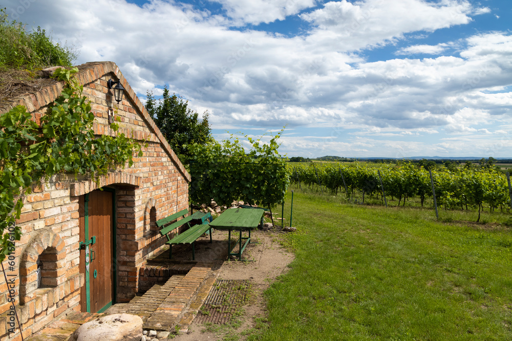 Fototapeta premium Wine cellars and vineyard in Palava region, Southern Moravia, Czech Republic
