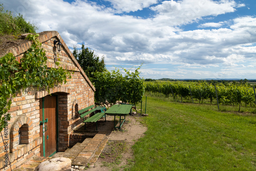 Wine cellars and vineyard in Palava region, Southern Moravia, Czech Republic