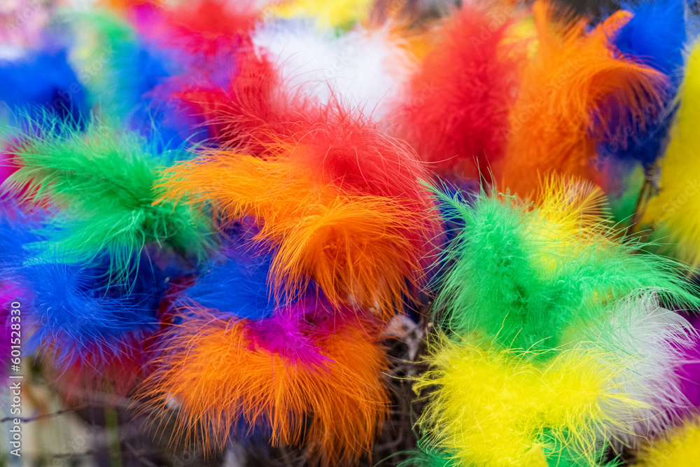 Blue red yellow green and orange feathers. Blue red yellow green and orange feathers.
