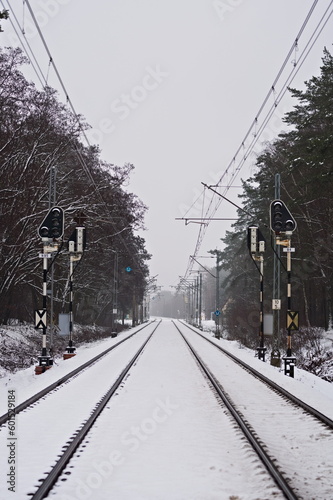 Tory kolejowe za dnia zimą, pokryte śniegiem, widoczna sygnalizacja świetlna oraz linie napięcia, w tle zimowy las
