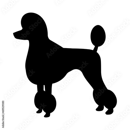 Black silhouette Poodle Dog